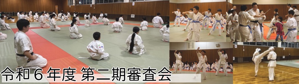審査会